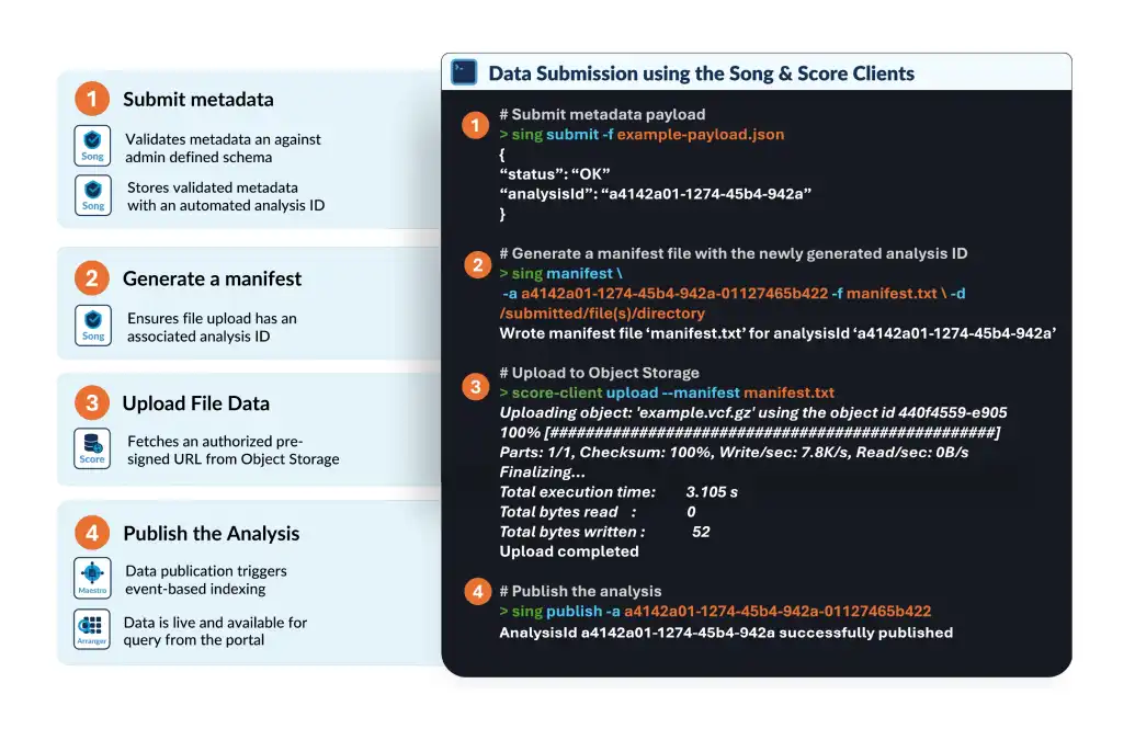 Submission Overview